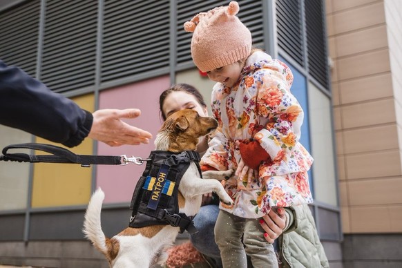 Zelensky décerne une médaille à Patron, un chien ukrainien renifleur de bombes