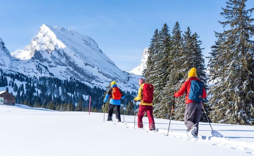 Schneeschuhwandern im oberen Toggenburg Sellamatt