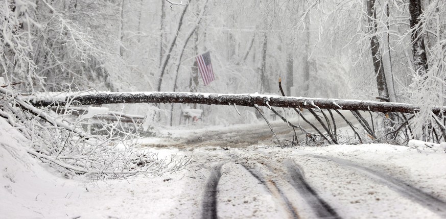 La Scotchdown Road dans le comté de Hanover, en Virginie, bloquée par une chute d'arbre.