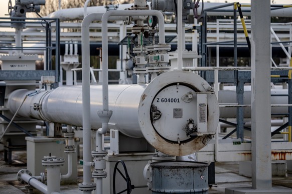 epa11824371 Storage tanks and pipelines at the Central oil tank farm operated by Mero CR near Nelahozeves, Czech Republic, 14 January 2025. Mero CR, who owns and operates the Czech part of the Druzhba ...
