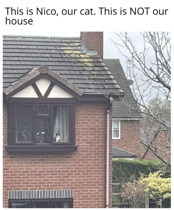 Die lustigsten Fails der Woche