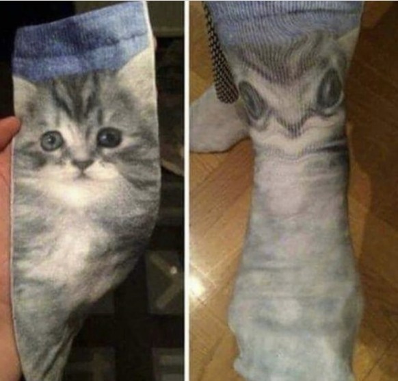 Die lustigsten Fails der Woche: Katzen-Socken