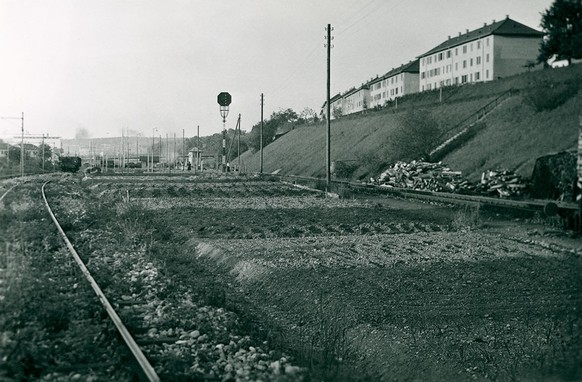 ... transformé en champ cultivé dans les années 1940.