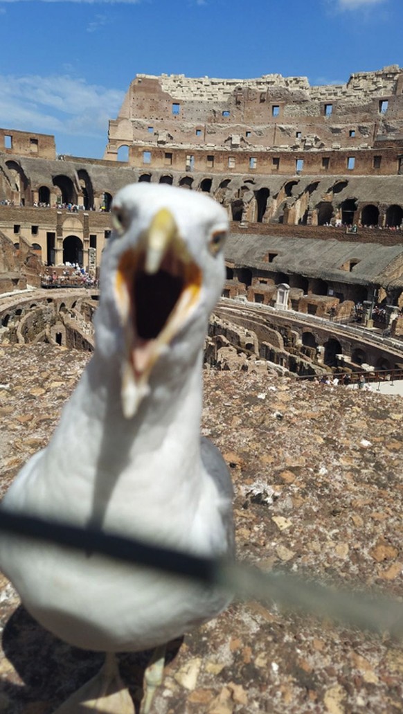 POV: tu as confié l'appareil photo à ta mère pour les vacances.