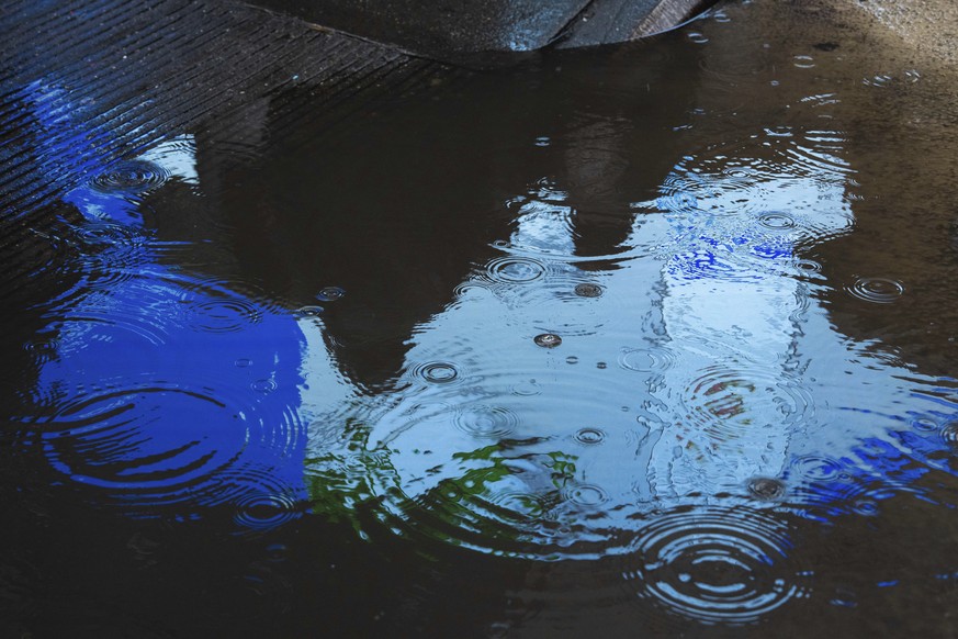 Rain falls in a puddle in Times Square, Thursday, Nov. 21, 2024 in New York. (AP Photo/Adam Gray)