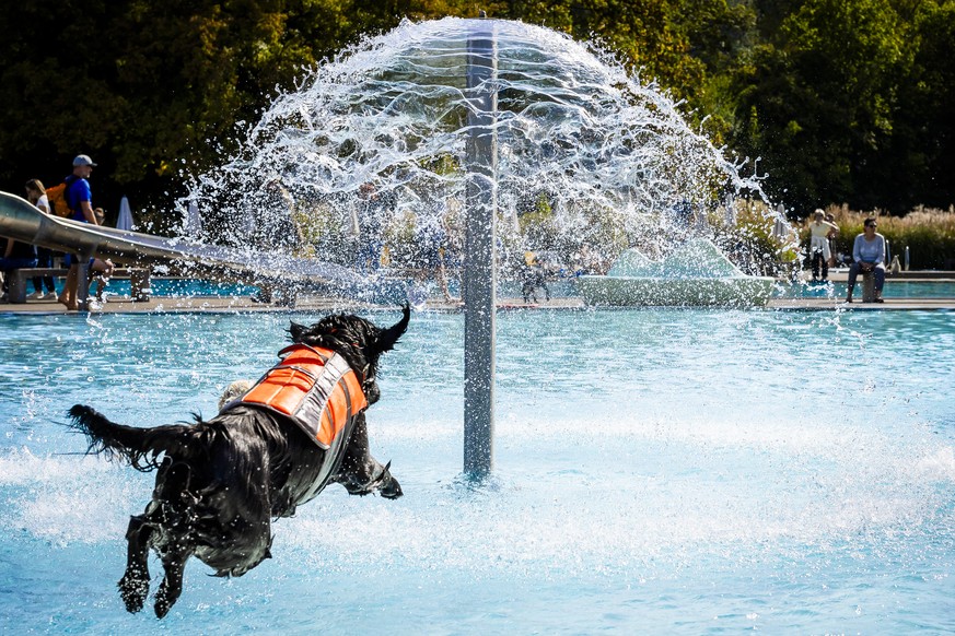 Dog Onyx jumps into the water on the season's last day at the Toess public outdoor pool in Winterthur, Canton of Zurich, Switzerland on Sunday,. September 20, 2026. The Toess public outdoor pool  ...
