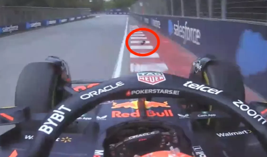 L&#039;oiseau n&#039;a pas vu arriver Max Verstappen lors du Grand Prix du Canada.