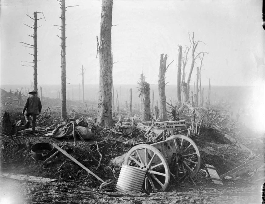 Paysage ravagé près de Courcelette, dans le nord de la France, mars 1917.