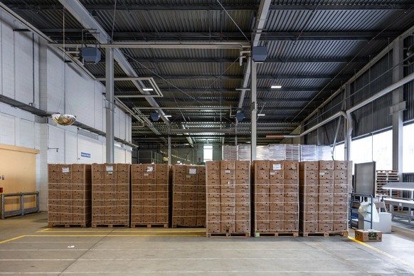 Palettes en provenance d'Equateur au centre de mûrissage de bananes de Coop à Kaiseraugst