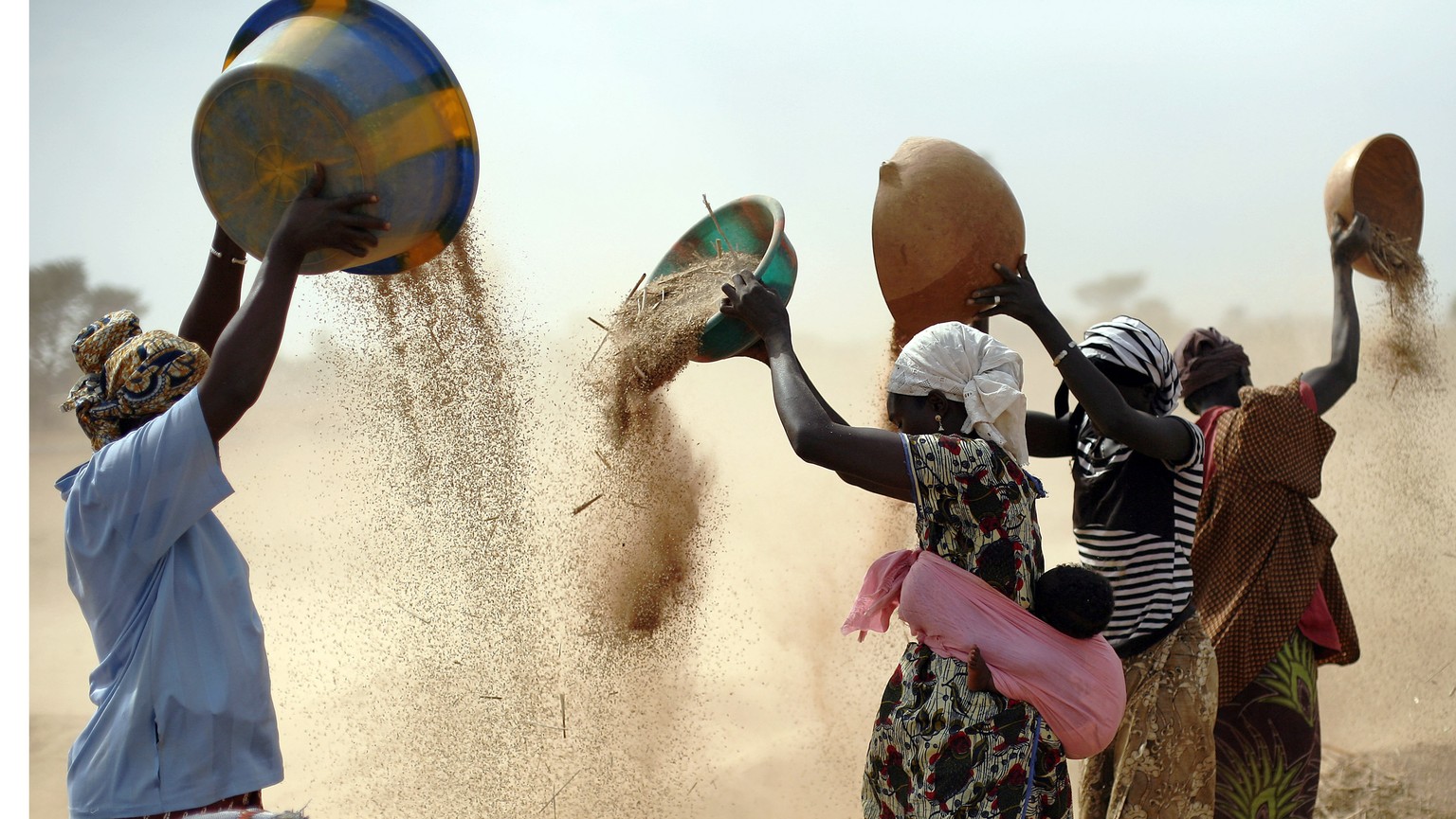 FILE- Malian women sift wheat in a field near Segou, central Mali, Jan. 22, 2013. In 2022, Families across Africa are paying about 45% more for wheat flour as Russia&#039;s war in Ukraine blocks expor ...
