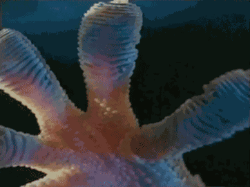 GIF animé