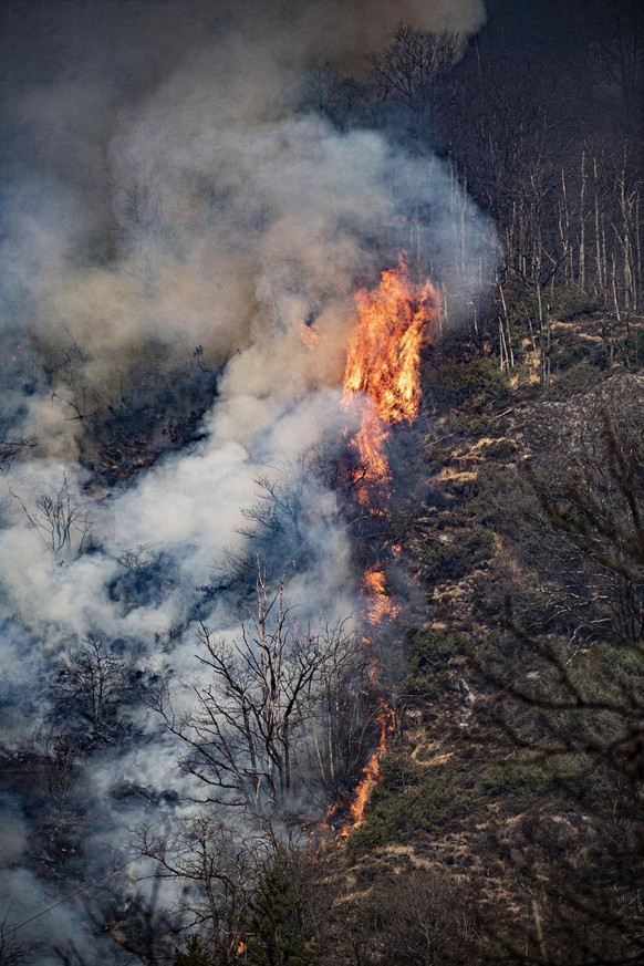Flammen des Waldbrandes oberhalb von Verdasio im Centovalli Tal, am Freitag, 25. Maerz 2022. Ausgebrochen war der Waldbrand am Mittwoch, teilte die Tessiner Kantonspolizei mit. (KEYSTONE/Ti-PRESS/Samu ...