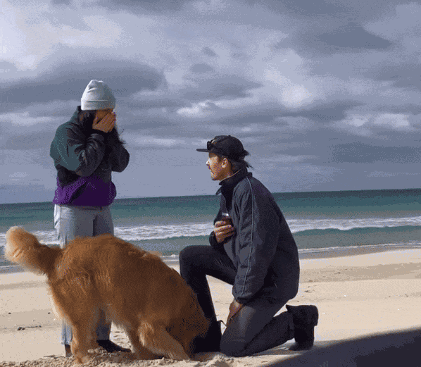 GIF animé