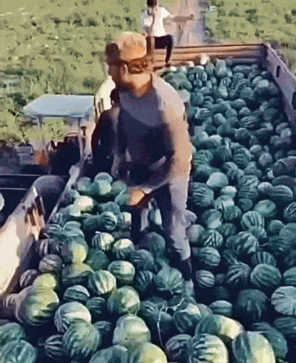 GIF animé