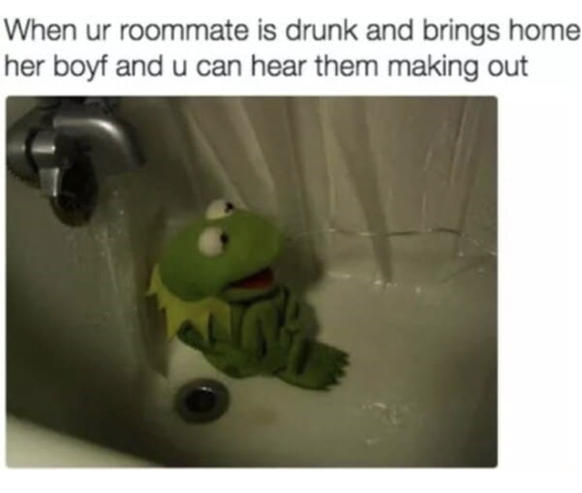 Lustige Memes über Mitbewohner