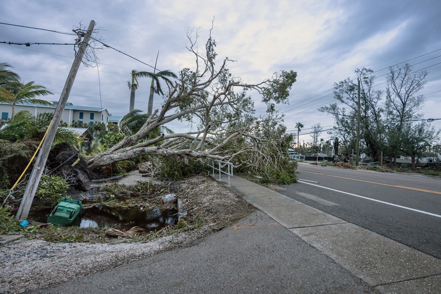 epa11652501 Fallen trees and debris on a street left behind by Hurricane Milton in Bradenton, Florida, USA, 10 October 2024. According to the National Hurricane Center, Hurricane Milton made landfall  ...