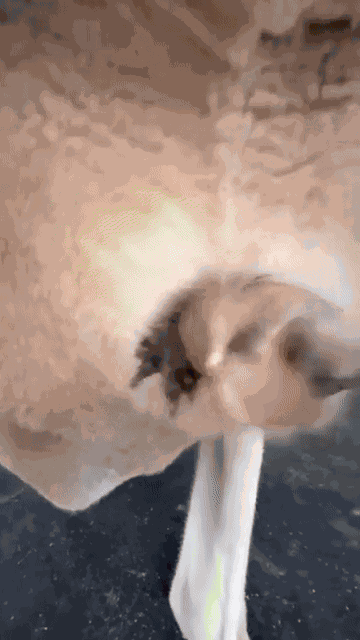 GIF animé