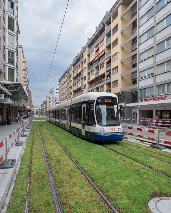 Végétaliser les surfaces - tram Genève