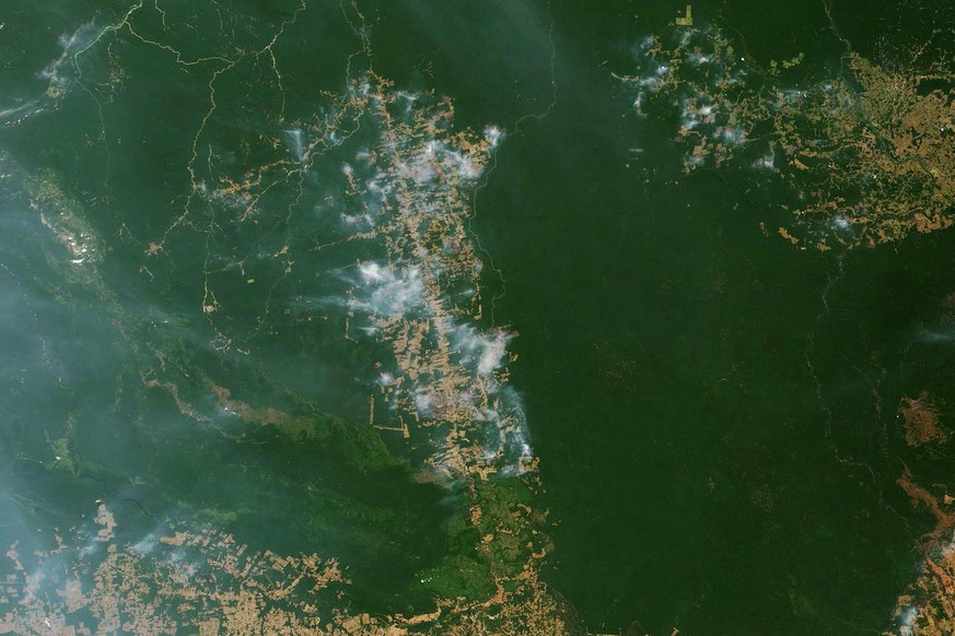 epa07789489 A handout photo made available by NASA Earth Observatory of a natural-color satellite image showing fires burning in the vicinity of Novo Progresso in the Brazilian state of Para, 19 Augus ...