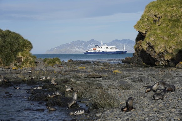 MS Hondius vor Jason Harbour, S�dgeorgien Jason Harbour, South Georgia Copyright: xZoonar.com/lotharxkurtzex 20390971