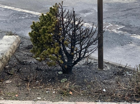 Le drame de Chiètres survenu en fin de journée mardi 10 mars 2026 a fait six morts et cinq blessés. Un acte volontaire a été évoqué. L'enquête est en cours. Cette photo a été prise le 11 mars au  ...