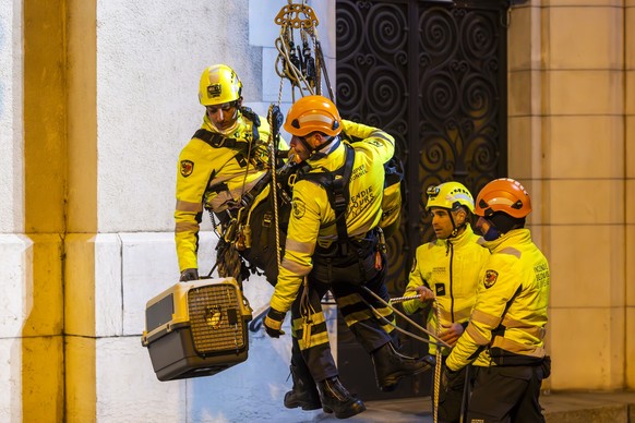 Des membres du Centre Ornithologique de Readaptation (COR) examinent le goeland extrait par les pompiers du Service d'incendie et de secours (SIS) dans la croix de l'eglise Saint-Joseph aux  ...