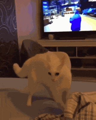 GIF animé