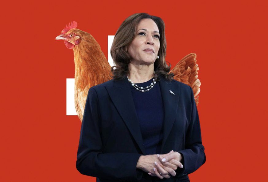 Lors de sa visite en Suisse, la vice-présidente Kamala Harris a été très marquée par sa rencontre avec des poules.