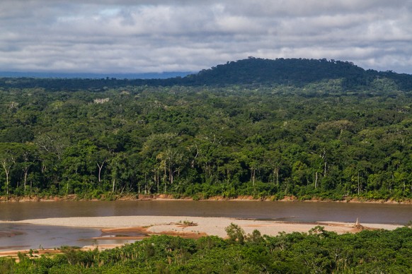 Madidi National Park in the Amazon rainforest, Bolivia