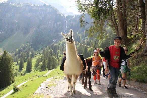Märchenhotel Braunwald Rauszeit Schlafen mit Tieren
