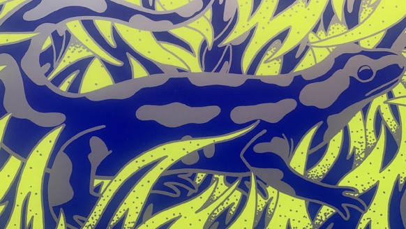 Une salamandre sur la couverture.