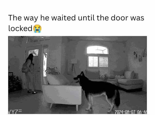 GIF animé