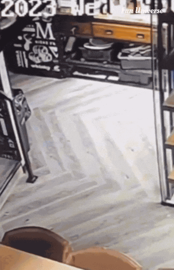 GIF animé