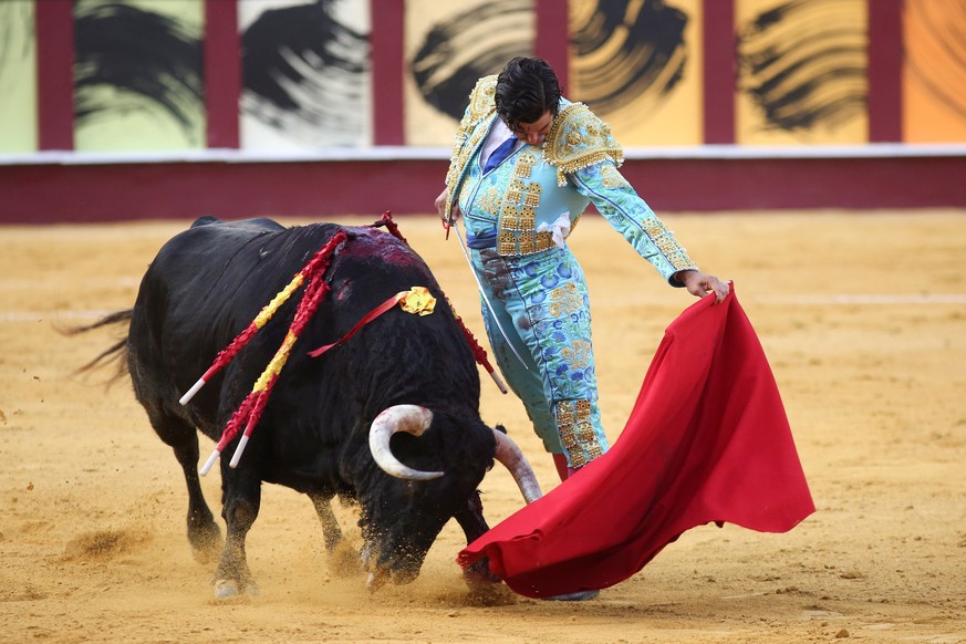epa09422422 Spanish bullfighter Morante de la Puebla fights a bull during the traditional &#039;Corrida Picassiana&#039; at La Malagueta bullring in Malaga, Andalusia, Spain, 20 August 2021. The &#039 ...