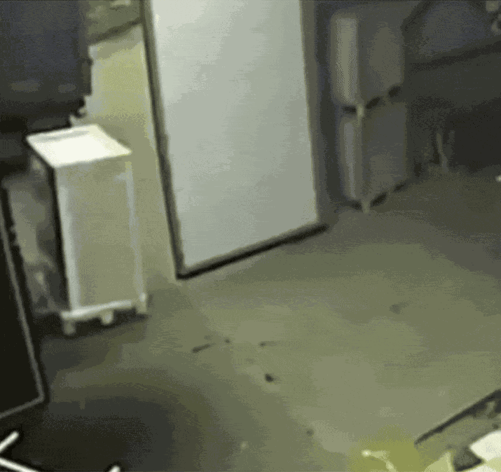 GIF animé