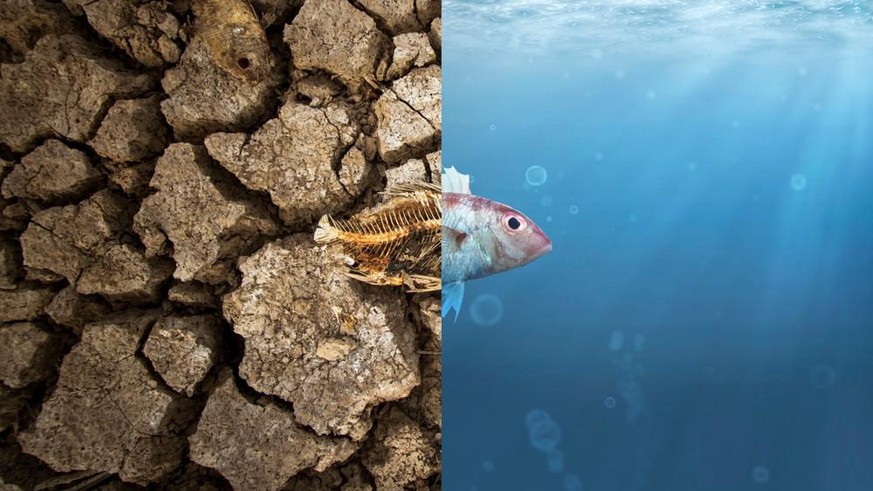 GIEC rapport climat réchauffement climatique environnement planète