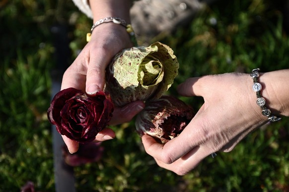 Donadello a cultivé toute sa vie ses propres légumes.