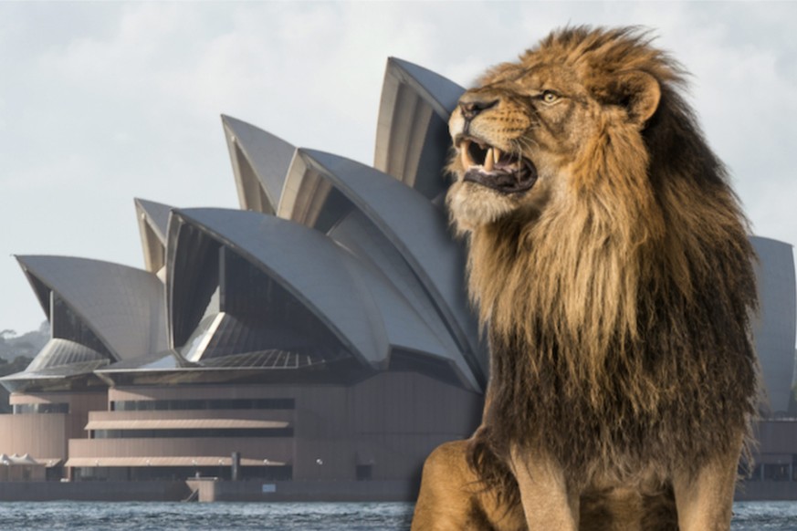 Lions Sydney échappés du zoo