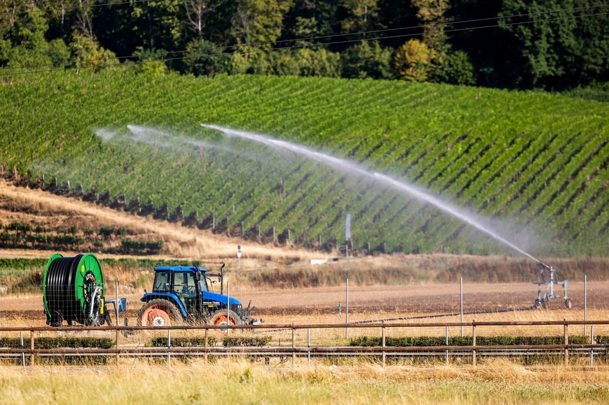 Un système d'irrigation dans un champ, à Gland.