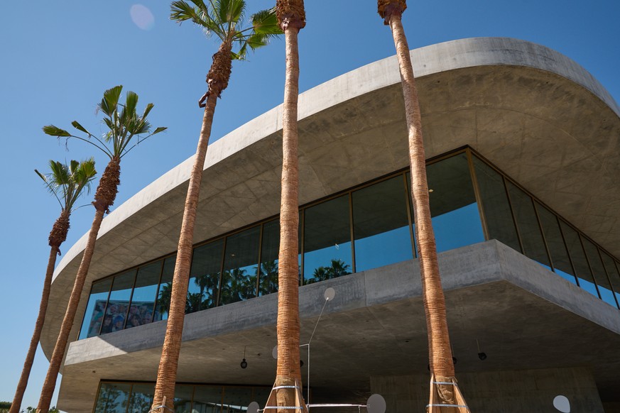 Palm trees line the David Geffen Galleries, designed by architect Peter Zumthor, at the Los Angeles County Museum Wednesday, April 15, 2026. (AP Photo/Damian Dovarganes)
LACMA Makeover