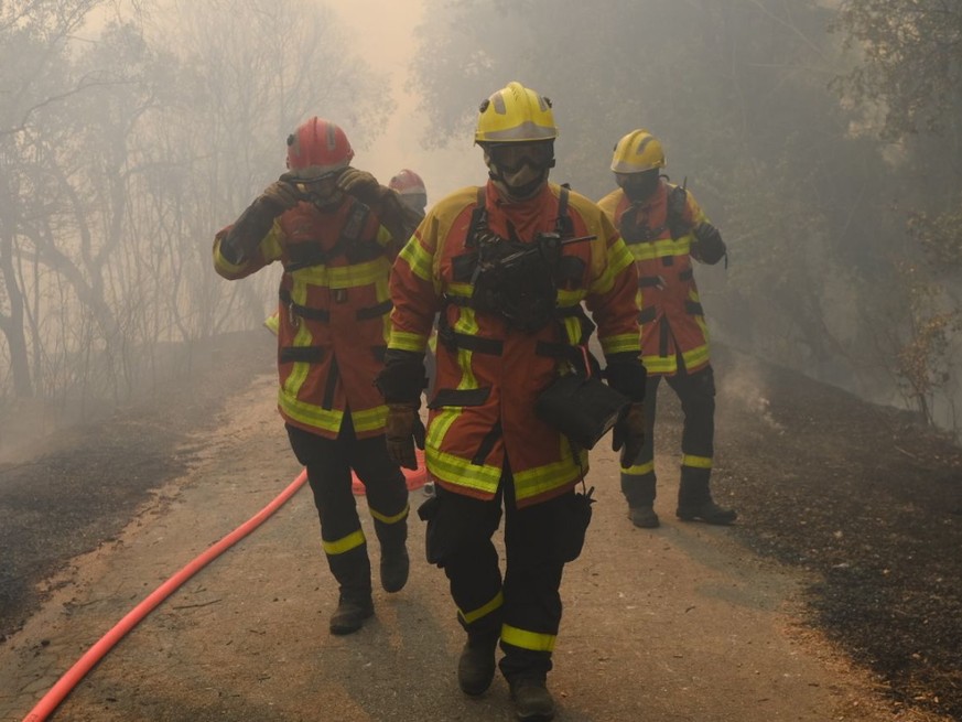 Les pompiers du Gard ont été rapidement rejoints par des colonnes venues d&#039;autres départements (image d&#039;illustration).