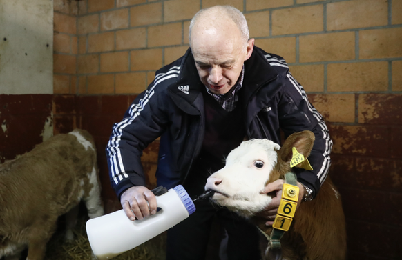 Alors, plutôt team bébé vache...