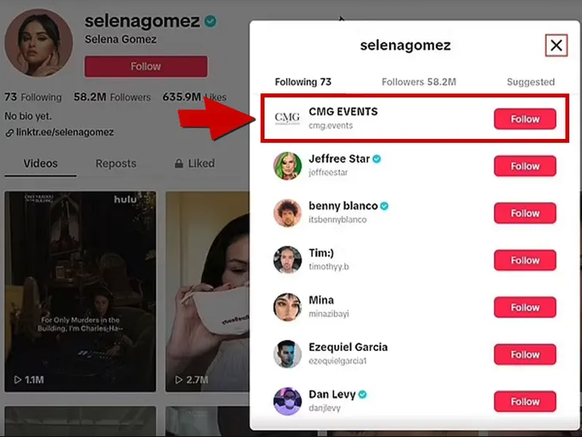 TMZ et ses montages, au cas où l'on n'aurait pas compris de quoi il retourne.