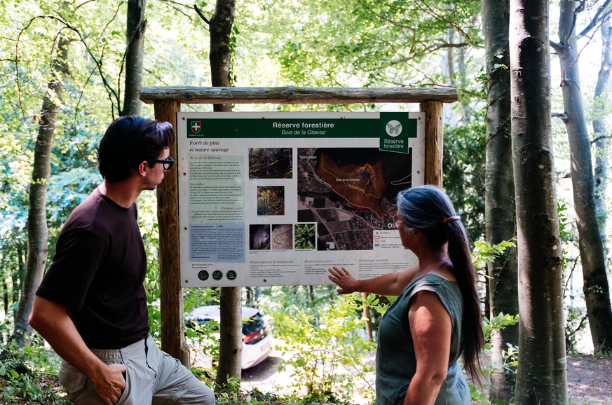 Diane Morattel, inspectrice des forêts pour l'Etat de Vaud, nous parle du secteur du Bois de la Glaive dans les hauts d'Ollon.