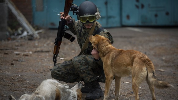 May 18, 2022, Barvinkove, Kharkiv Oblast, Ukraine: Veteran soldier Aaron pets stray dogs a street at Barvinkove, Ukraine on May 18, 2022. Aaron, who has been fighting at the frontlines near Izyum for  ...