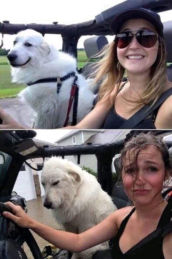 Faildienstag: Frau und ihr Hund werden im Auto verregnet
