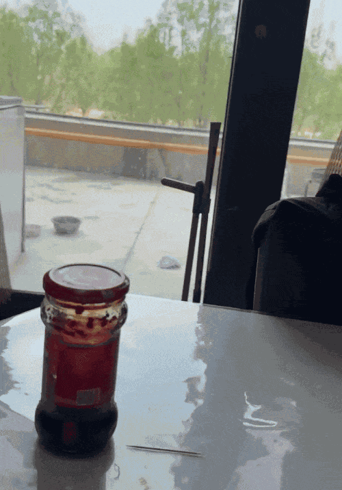 GIF animé