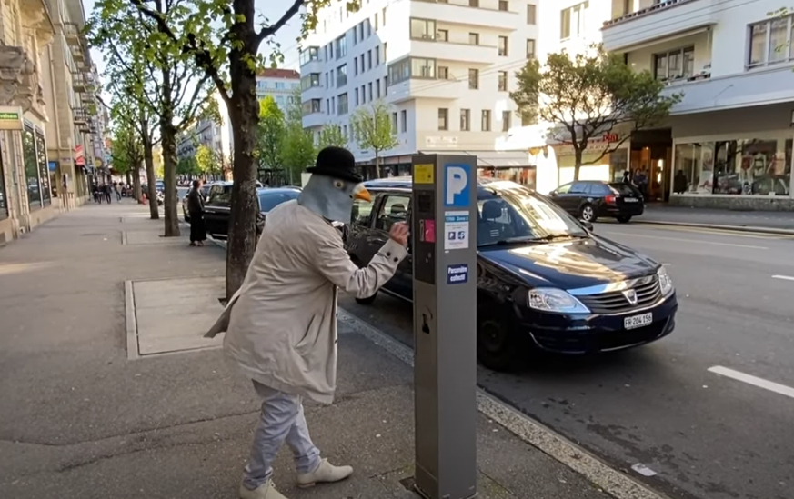 Pigeon, voiture, parking