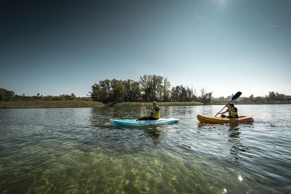 En canoë dans la Grande Cariçaie, la plus grande zone humide longeant un lac suisse