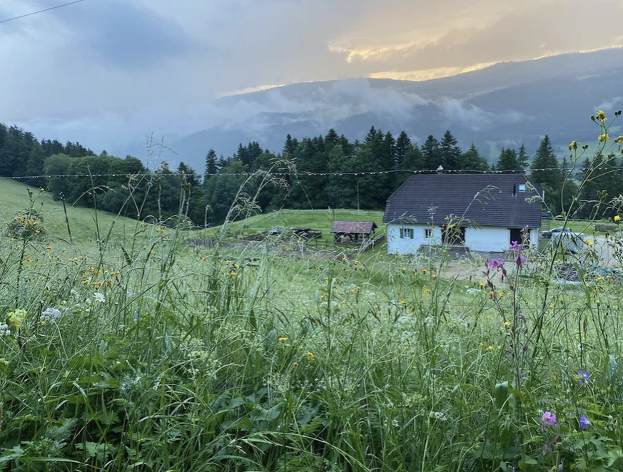 Le calme après la tempête.